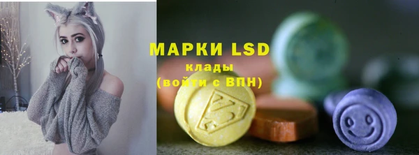 МДПВ Абаза