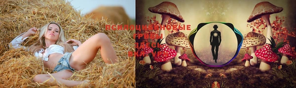 МДПВ Абаза