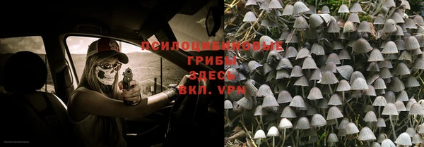 spice Абдулино