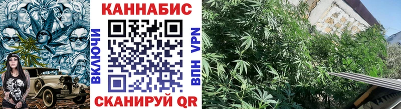 купить закладку  Иноземцево  Конопля гибрид 